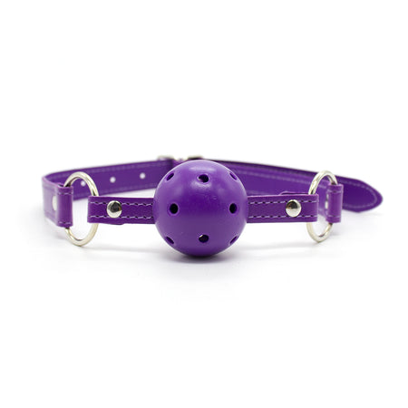 Ple'sur 12-Piece Everything Bondage Kit Purple - Zateo Joy